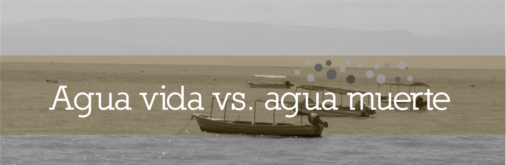 Agua vida vs. agua muerte: riesgos a la salud por contaminación del agua del Lago de Chapala